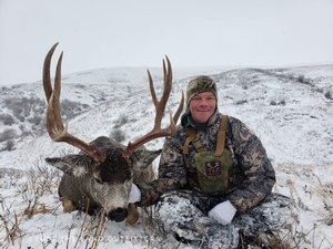 Alberta mule deer hunting in the southern foothils.